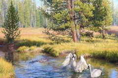 2-Swans-Yellowstone_-Ken-Corbett_-24x18oil_-3800-web