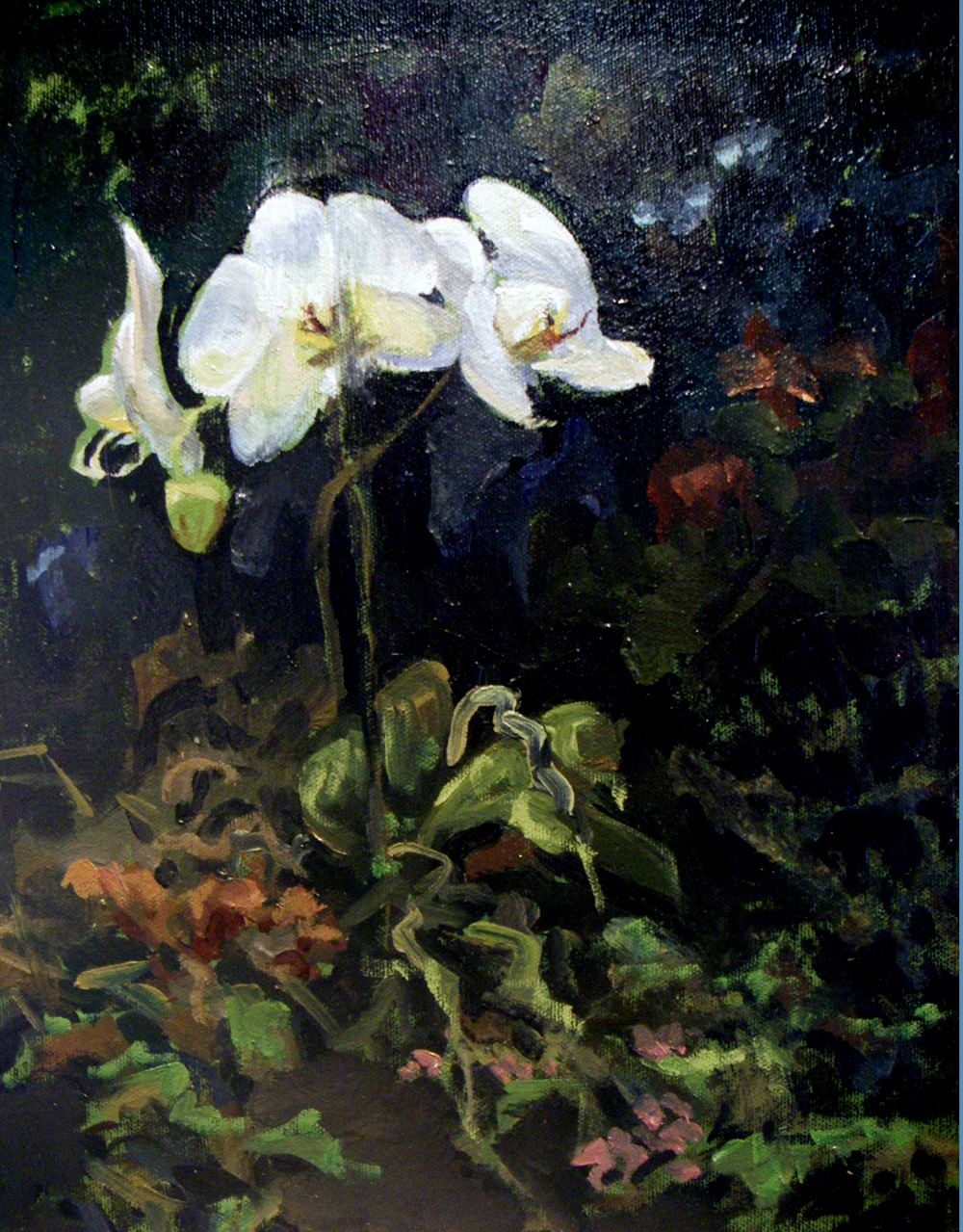 Sego Lilys 11 x 14 oil by Kaziah Hancock
