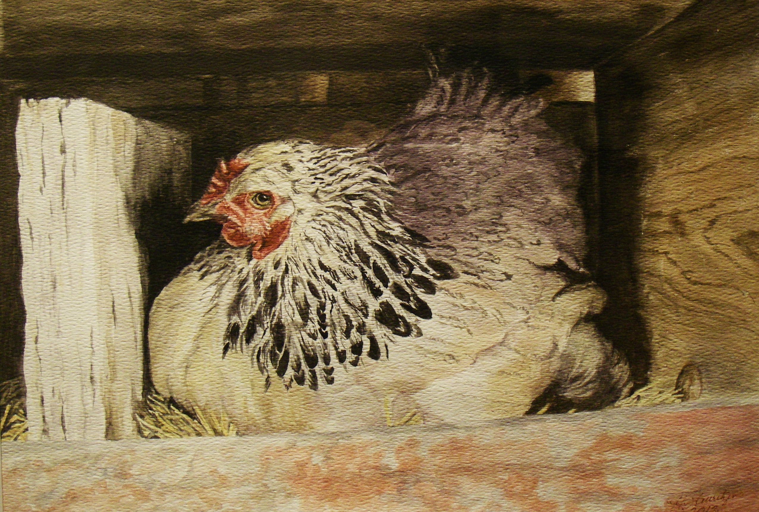 Have You Hugged Your Hen Today  10 x 14 watercolor  by Helen Lauritzen  $606 Copy